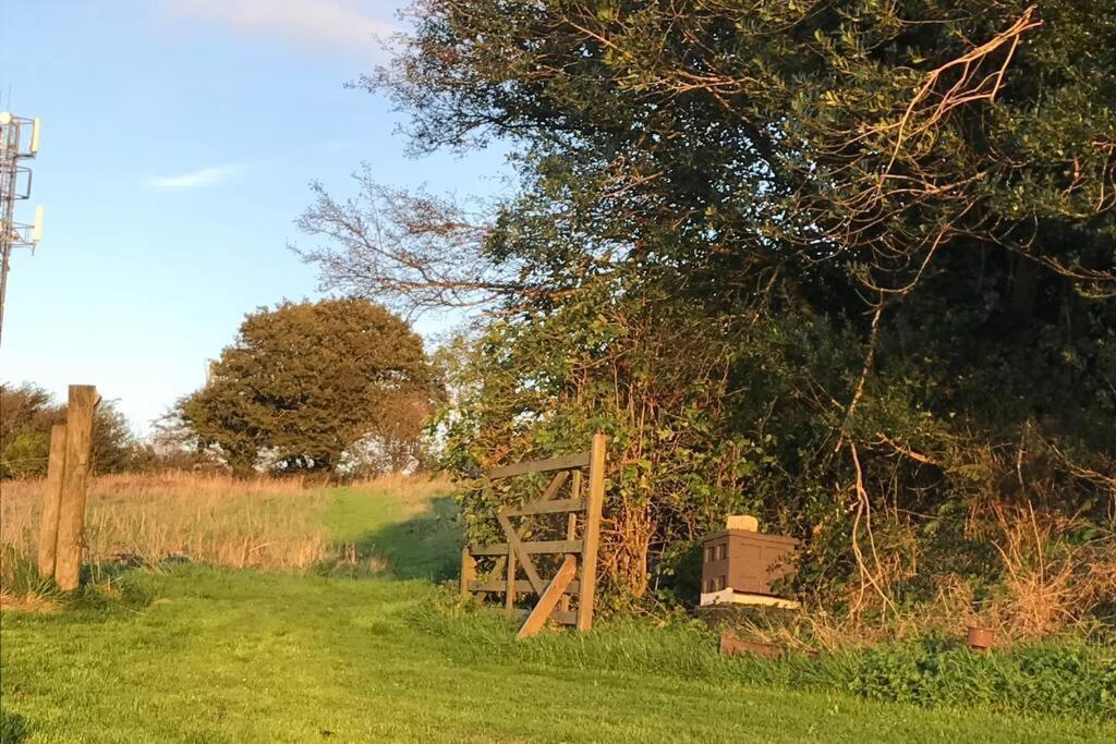Stags View,Unique Eco Cabin, Dartmoor Views South Brent Esterno foto