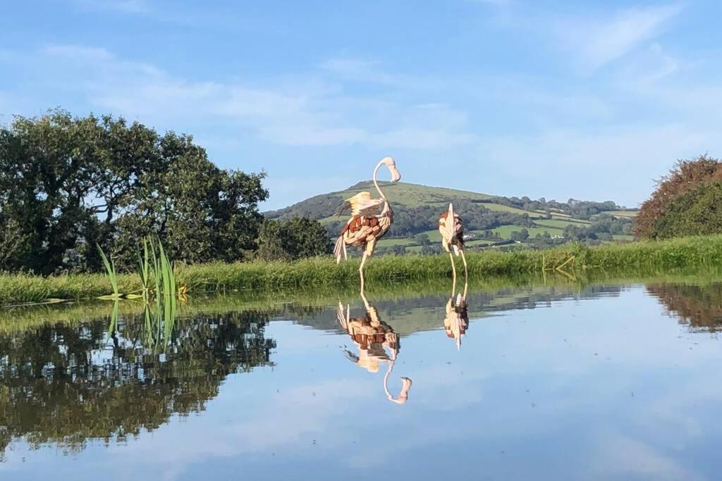 Stags View,Unique Eco Cabin, Dartmoor Views South Brent Esterno foto